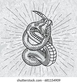 Viper snake. Hand drawn illustration in outline technique with star rays and grunge background.