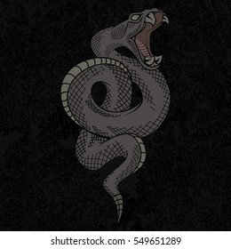 Viper snake. Hand drawn vector illustration in ink technique on grunge background, good for poster, sticker, tee shirt design.