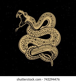 Viper snake illustration on dark background. Design element for poster, emblem, sign. Vector illustration