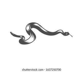 Viper snake logo design vector, Animal graphic, Snake design Template illustration