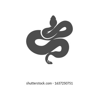 Viper snake logo design vector, Animal graphic, Snake design Template illustration