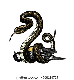 Viper snake. serpent cobra and python, anaconda or viper, royal. engraved hand drawn in old sketch, vintage style for sticker and tattoo. ophidian and asp.