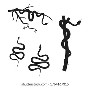 viper snake silhouette in tree branch