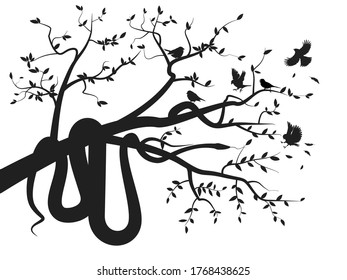 Viper snake silhouette in tree hunting bird