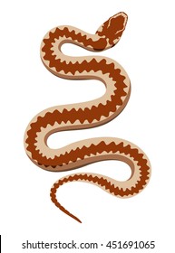 Viper snake vector