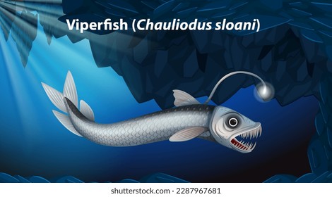 Viperfish (Chauliodus sloani) Vector illustration