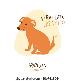 Vira Lata Caramelo. Caramel Dog. Brazilian Portuguese Hand Lettering Calligraphy with drawing dog. Brazilian Starter Pack. Vector.