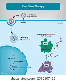 Viral Gene Therapy Vector and Illustration