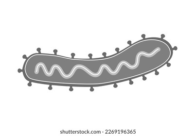 Das Virusmolekül des Marburg-Virus im Icon-Konzept.