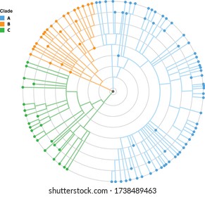 Viral Mutation Clade Layout By Radial Diagram