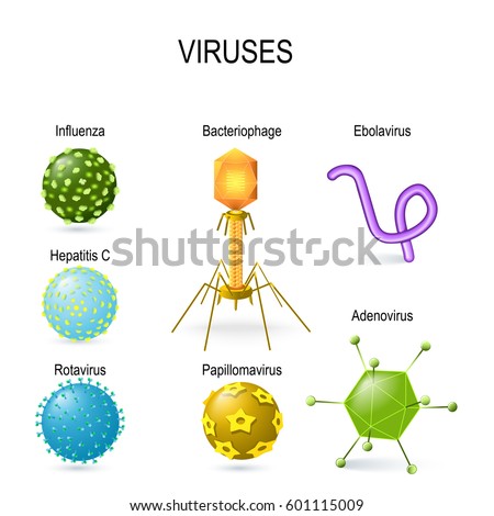 viral-shapes-different-shapes-viruses-diagram-stock-vector-royalty