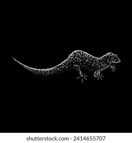 virgin islands dwarf gecko hand drawing vector isolated on black background.