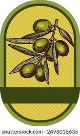 Virgin oil label template. Hand drawn olives tag