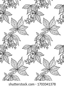 Virginia creeper leaves and berries seamless pattern. Retro vintage graphic design. Bohemian fashion, wallpaper, wrapping paper. Decorative ornament for fabric, textile. stock vector illustration