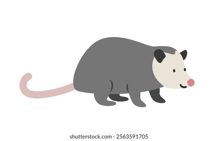 Virginia opossum cartoon clipart. Opossum vector illustration in flat style. Hand-drawn wild animal concept