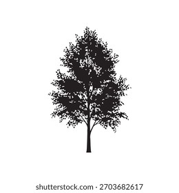 "Virginia round-leaf birch,The first tree ever placed on the Endangered Species List"