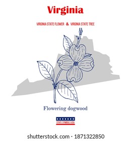 Virginia  Set USA official state symbols  Vector hand drawn illustration