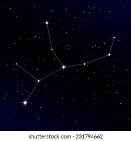 Virgo constellation 