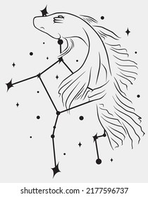 Virgo star constellation fish and stars. Simple line vector art.