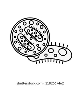 virology germ bacteria petri dish science