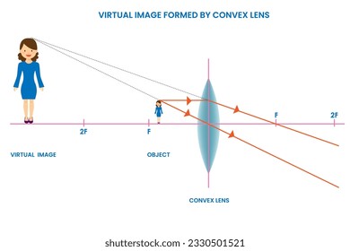 Una imagen virtual formada por una lente convexa aparece vertical y ampliada, a medida que los rayos de luz divergen y no convergen realmente en la ubicación de la imagen.