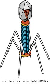 Virus anatomy: A complex bacteriophage T4 with a 20-sided isocahedral head, tail sheath, tail fibers, and pins.
