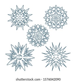  Virus and bacteria abstract hand drawn vector illustration. Microorganisms sketch graphics set isolated on white background. 