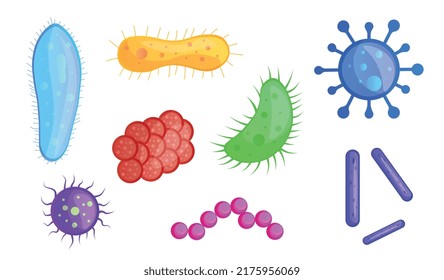 Virus and bacteria. Collection of various microorganisms. Medicine, molecular biology and body research. Influenza and immunity. Cartoon flat vector illustrations isolated on white background