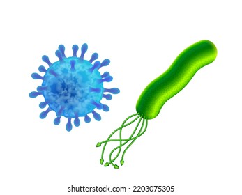 Virus and bacteria. Difference in structure of the virus and bacteria cells. Vector Illustration isolated on white background.