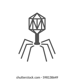 Virus. Bacteriophage