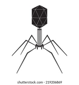 Structure of bacteriophage Images, Stock Photos & Vectors | Shutterstock