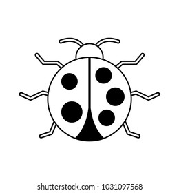 virus bug alert error insect animal