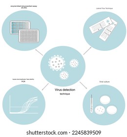 Das Verfahren zur Virusnachweis:Enzym-gebundener Immunosorbent-Assay (ELISA),Lateral Flow (Rapid Test),Nukleinsäure-Amplification-Test (NAATs):PCR,Virale Culture, die das Icon-Konzept in Gedanken-Mapping zeigen.