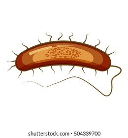 Virus form icon.  illustration of virus form vector icon for web