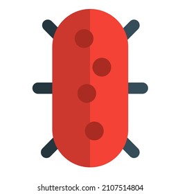 Virus with hexa strands in a bacterial material host