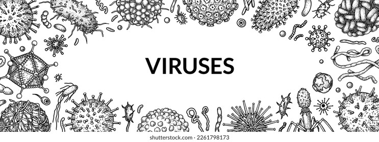 Virus horizontal background in sketch style. Hand drawn bacteria, germ, microorganism. Microbiology scientific design. Vector illustration in sketch style