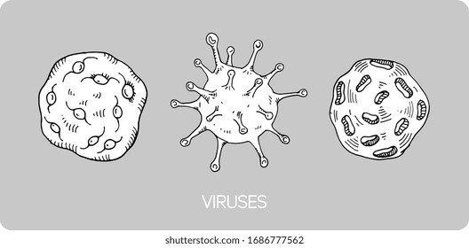 virus icon set. vector images of viruses. logo.