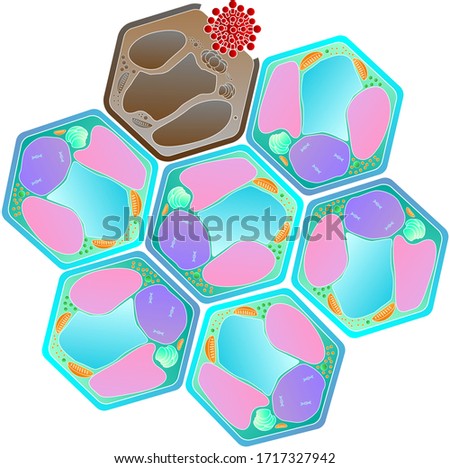 virus infection cells vector isolated on white background. 