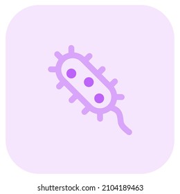 Virus Interior with a single rna to its trail another strands around it