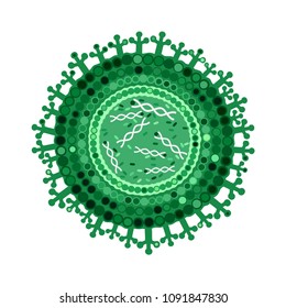 virus, an isolated viral molecule with a protein envelope, protein filaments and genetic material at the center. shades of green