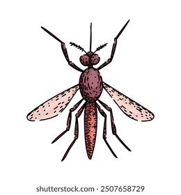 Mosquito de virus dibujado a mano. control de insectos, repelente de prevención, croquis de Vector de mosquitos de virus de larvas reproductoras. ilustración a color aislada