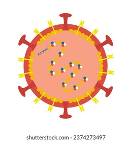 virus nipah inside vector isolated