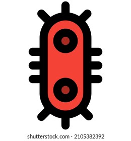Virus replicating and infecting the human body from the core of immune system