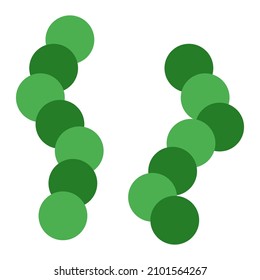 Virus replication in multiple structures with it