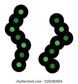 Virus replication in multiple structures with it