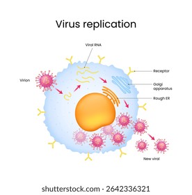 Virus Replication Process in Host Cell