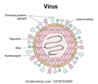 Virus Science Design Vector Illustration Diagram
