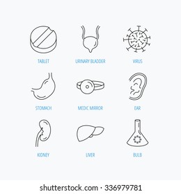 Virus, tablet and stomach organ icons. Liver, kidney and urinary bladder linear signs. Medic mirror, ear and lab bulb flat line icons. Linear set icons on white background.