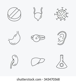 Virus, tablet and stomach organ icons. Liver, kidney and urinary bladder linear signs. Medic mirror, ear and lab bulb flat line icons. Linear black icons on white background.