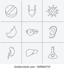 Virus, tablet and stomach organ icons. Liver, kidney and urinary bladder linear signs. Medic mirror, ear and lab bulb flat line icons. Linear icons on white background. Vector